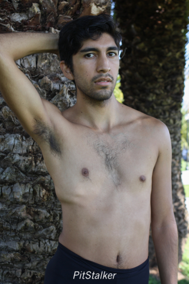 angel_s113