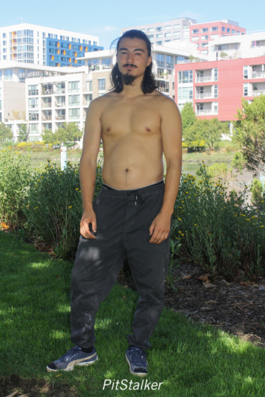 austin_w037