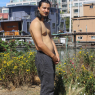 austin_w118