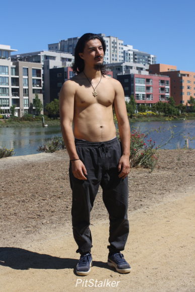 austin_w136