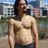 austin_w138
