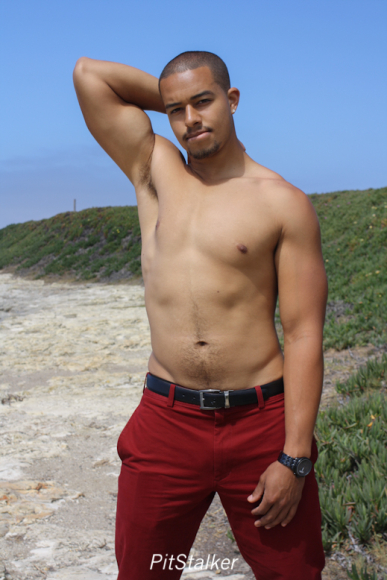 baris_h0834