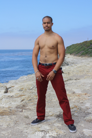 baris_h0839
