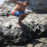 baris_h1014