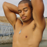 baris_h416