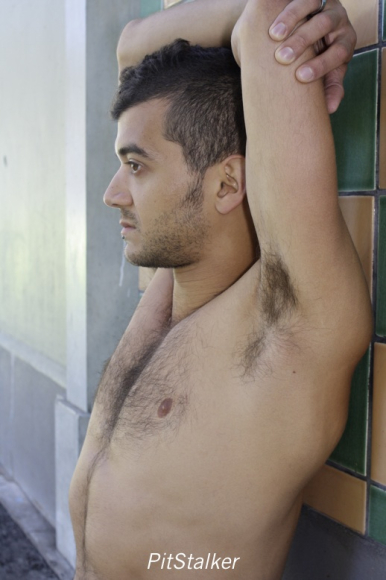 ben_b100