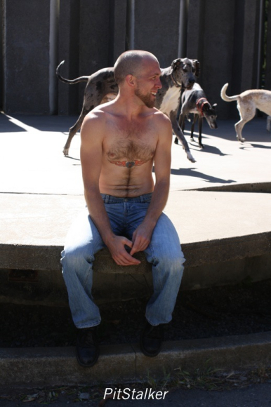 buddy_j335