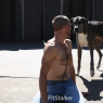 buddy_j337