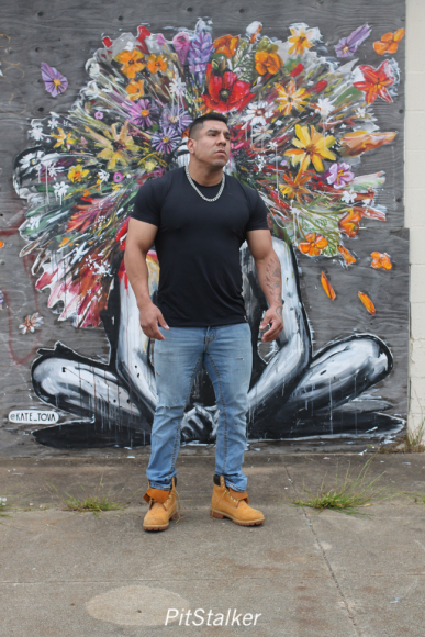 cesar_a003