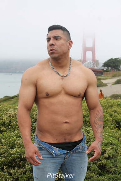 cesar_a112