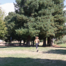 chris_o1527