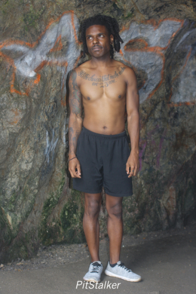 culice_s097