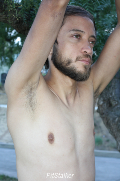 daniel_c380