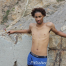 darii_g104