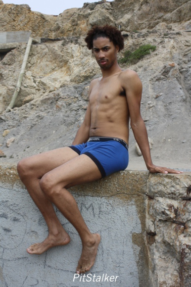 darii_g109