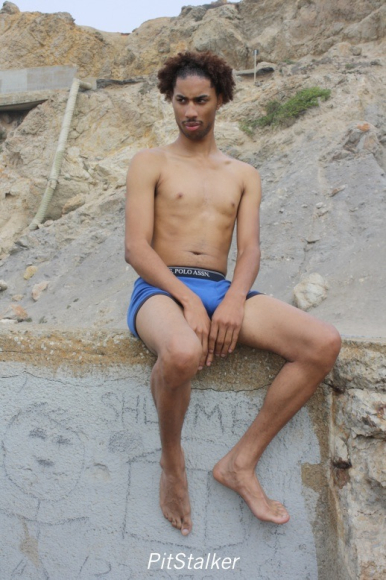 darii_g113