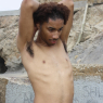 darii_g136