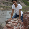 darii_g142