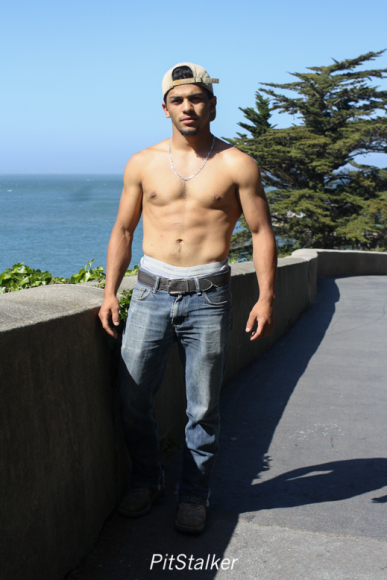 david_o016