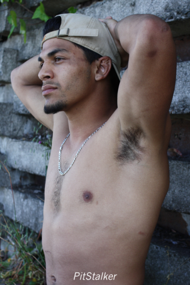 david_o035