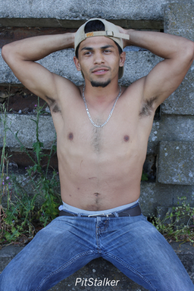 david_o037