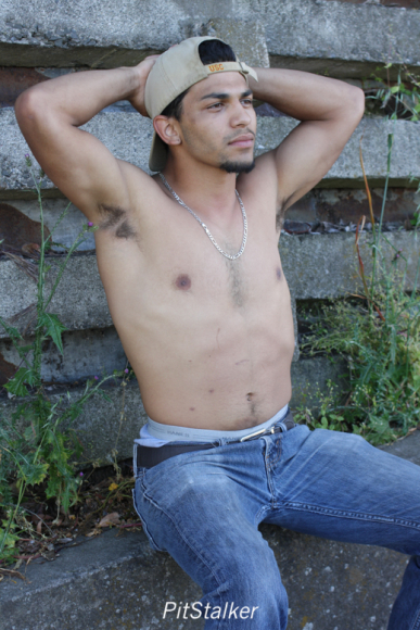 david_o039