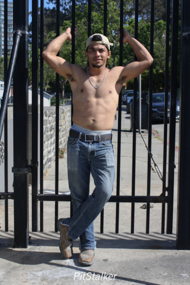 david_o053