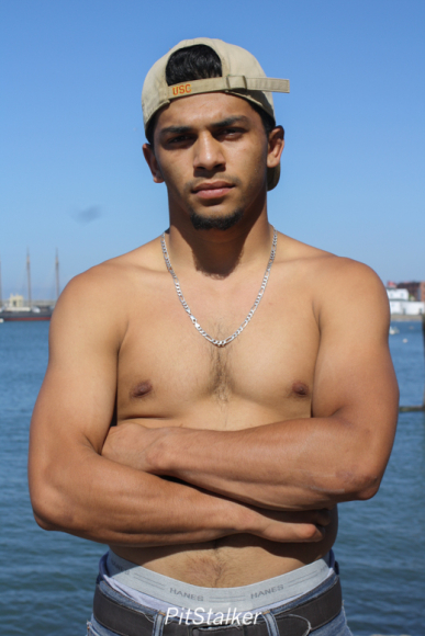 david_o071
