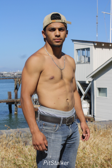 david_o078
