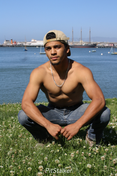david_o082