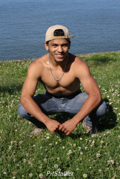 david_o084