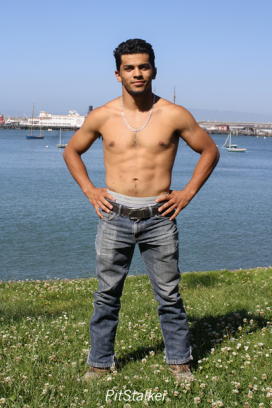 david_o086