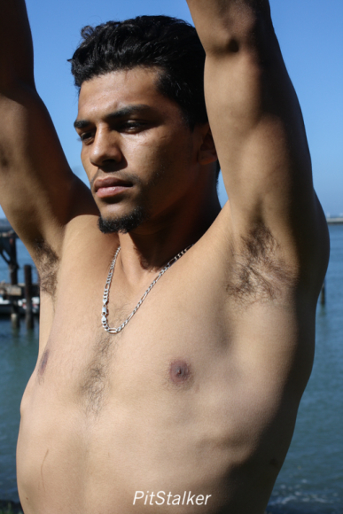 david_o096