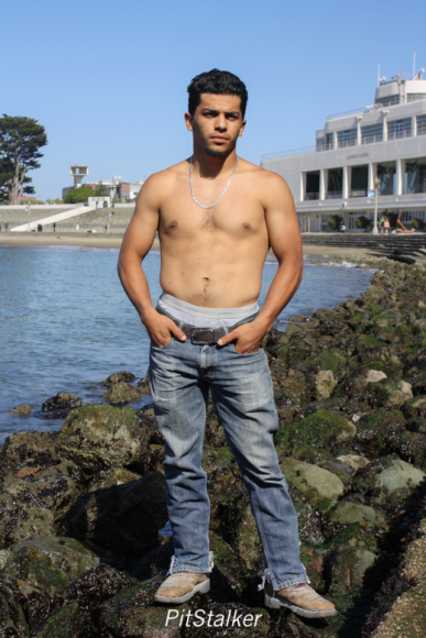 david_o104