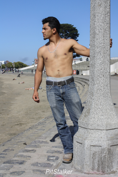 david_o135