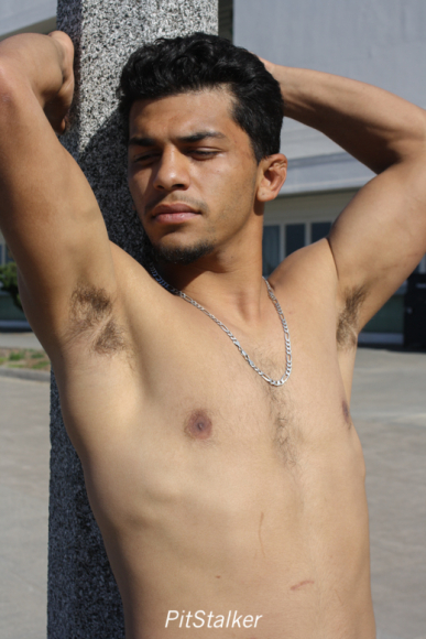 david_o145