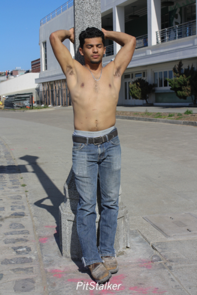 david_o158