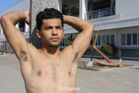 david_o160