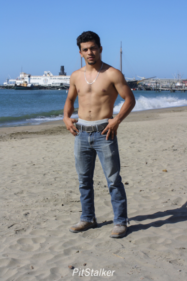 david_o205