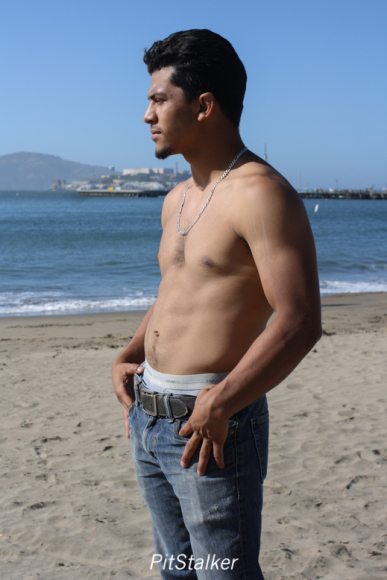 david_o207