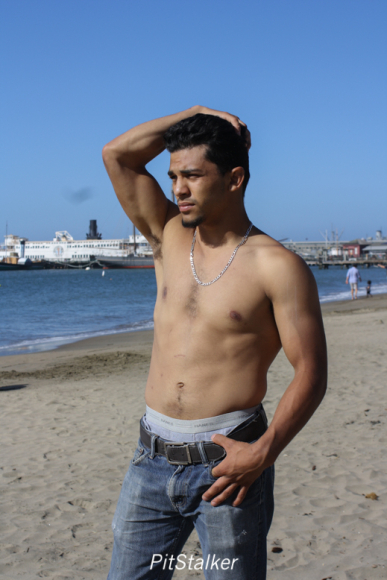 david_o208