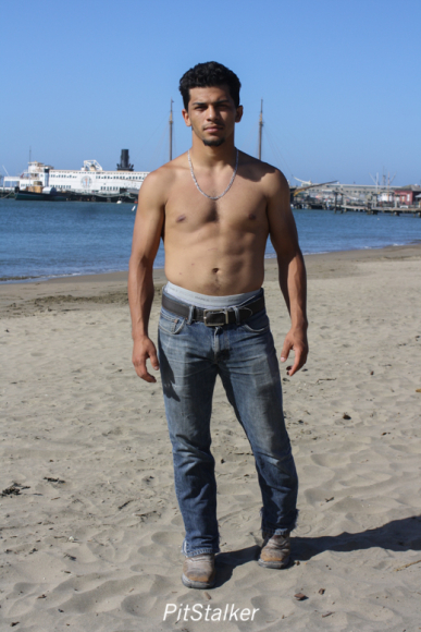 david_o215