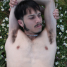 enoch_p1167