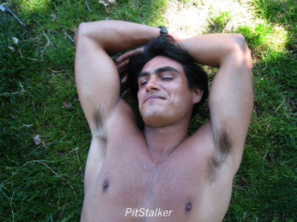 enrique_v156
