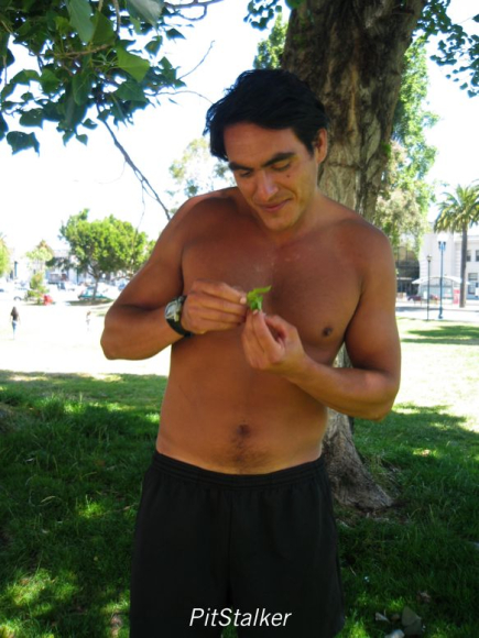 enrique_v165
