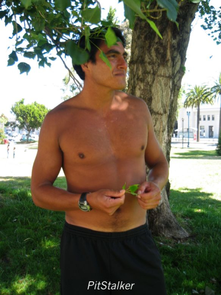 enrique_v166
