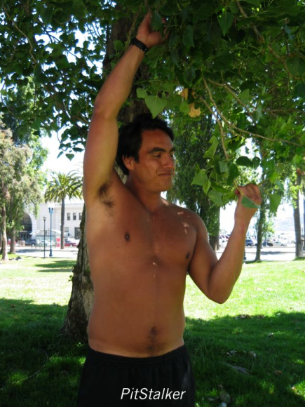 enrique_v170
