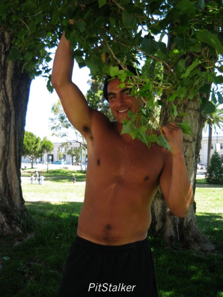 enrique_v172