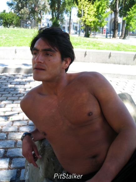enrique_v207