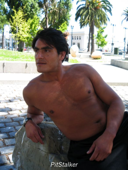 enrique_v208
